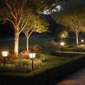 Landscape Lighting in Fort Worth Inspired by Commercial Tree Care for Smarter Outdoor Design