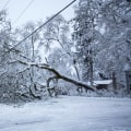 What to Do When a Tree Branch Falls on a Power Line: Essential Steps for Safety and Removal
