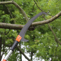 Essential Tools for Safe and Effective Tree Branch Removal