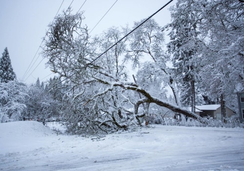 What to Do When a Tree Branch Falls on a Power Line: Essential Steps for Safety and Removal