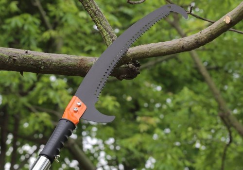 Essential Tools for Safe and Effective Tree Branch Removal